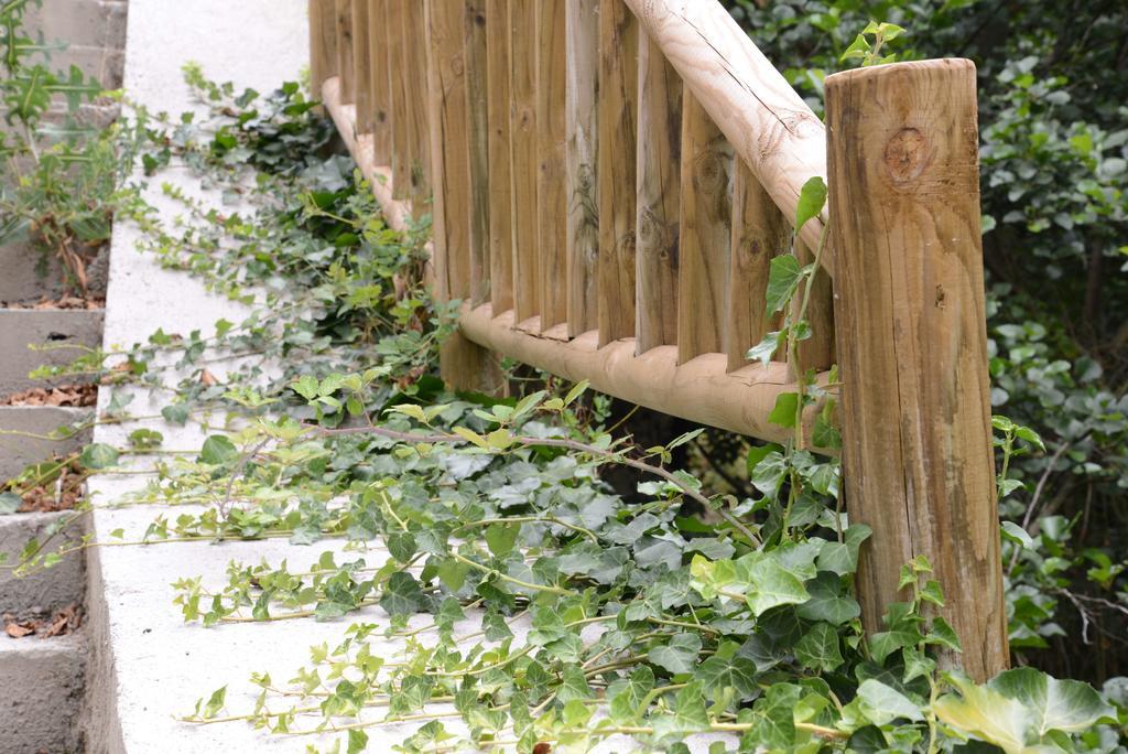 Apartamentos El Rincon De Limes กันกัส เดล นาเซอา ห้อง รูปภาพ