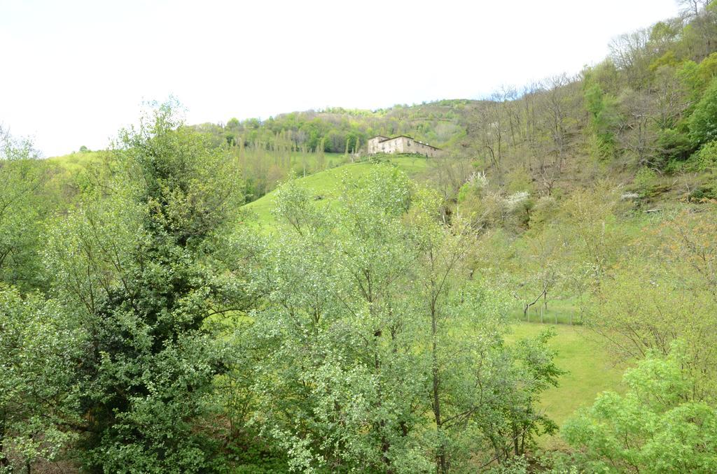 Apartamentos El Rincon De Limes กันกัส เดล นาเซอา ภายนอก รูปภาพ